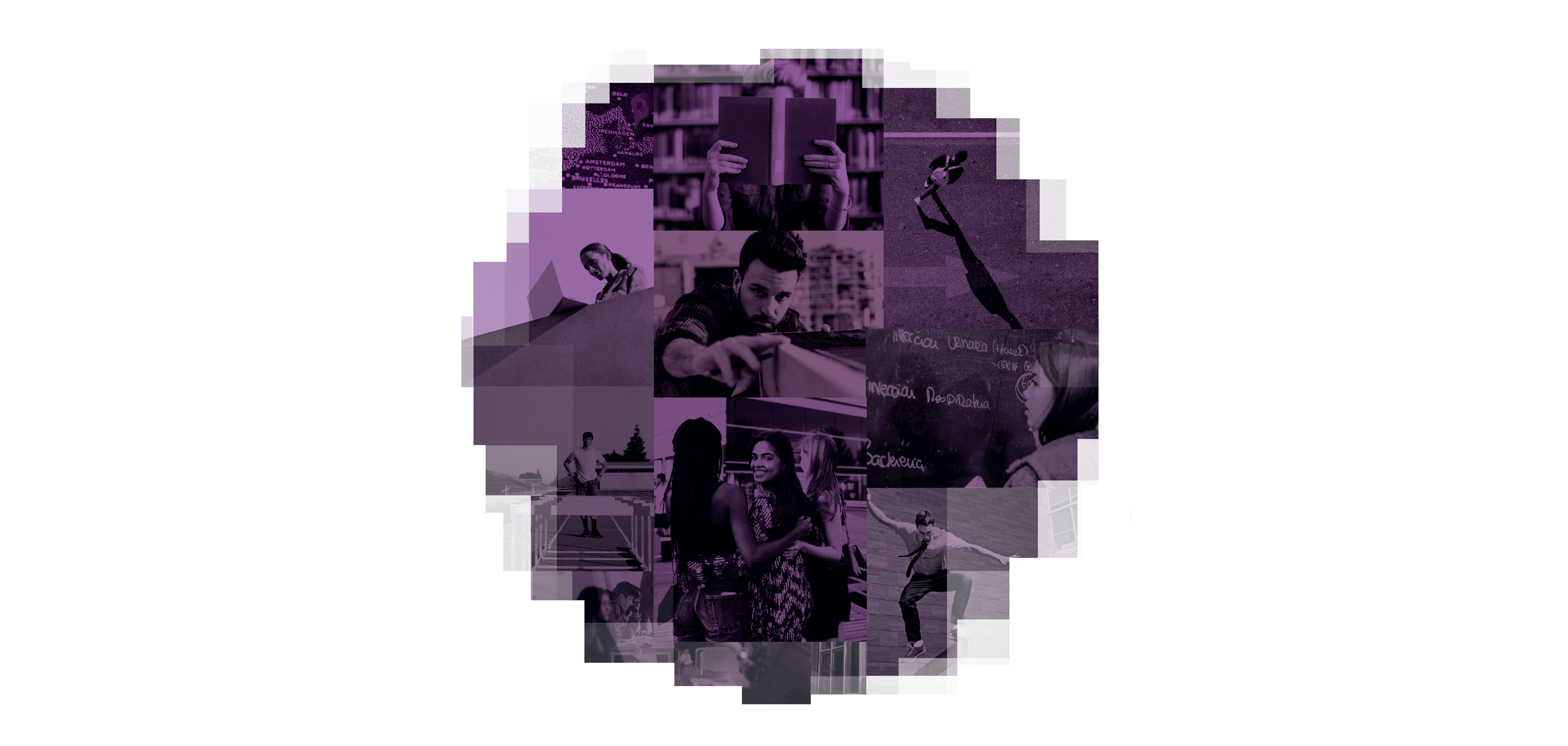 SGN13_topbanner.png