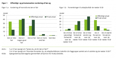 delanalyse om arbejdsvilkår figur 1.PNG